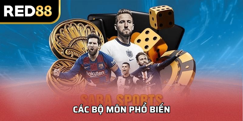 Các bộ môn phổ biến