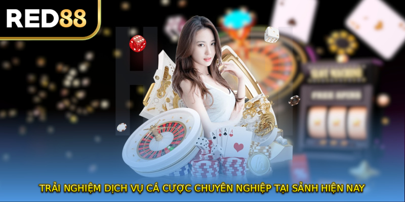 Trải nghiệm dịch vụ cá cược chuyên nghiệp tại sảnh hiện nay