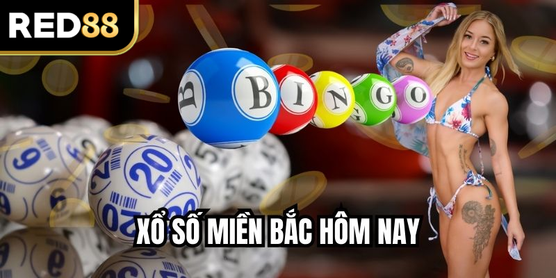 Xổ Số Miền Bắc Hôm Nay